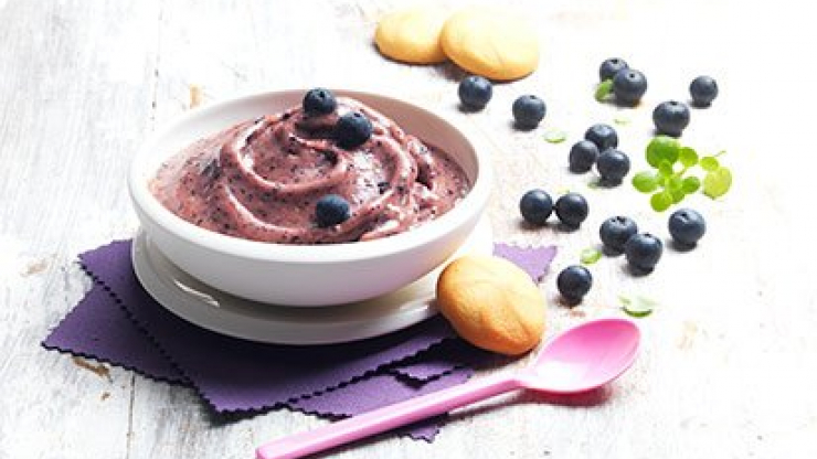 Borůvková nice cream - recept pro varný kuchyňský robot Tefal Click and Cook